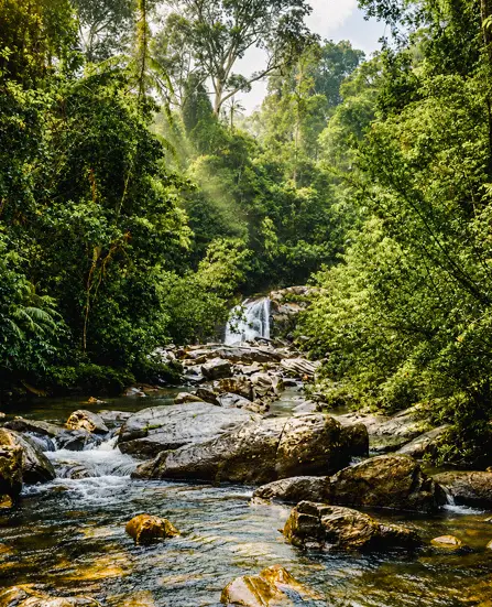 Ratnapura District